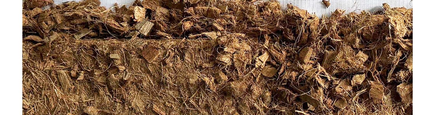 Coconut husk biochar
