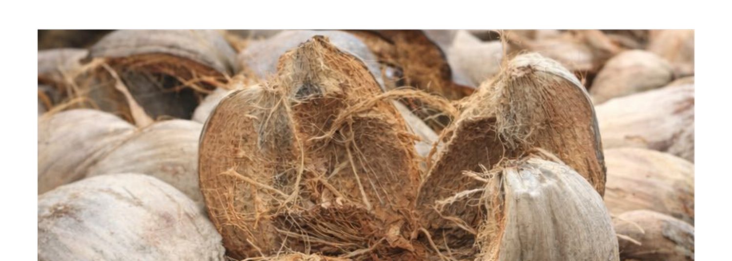 Coconut husk, raw biomass
